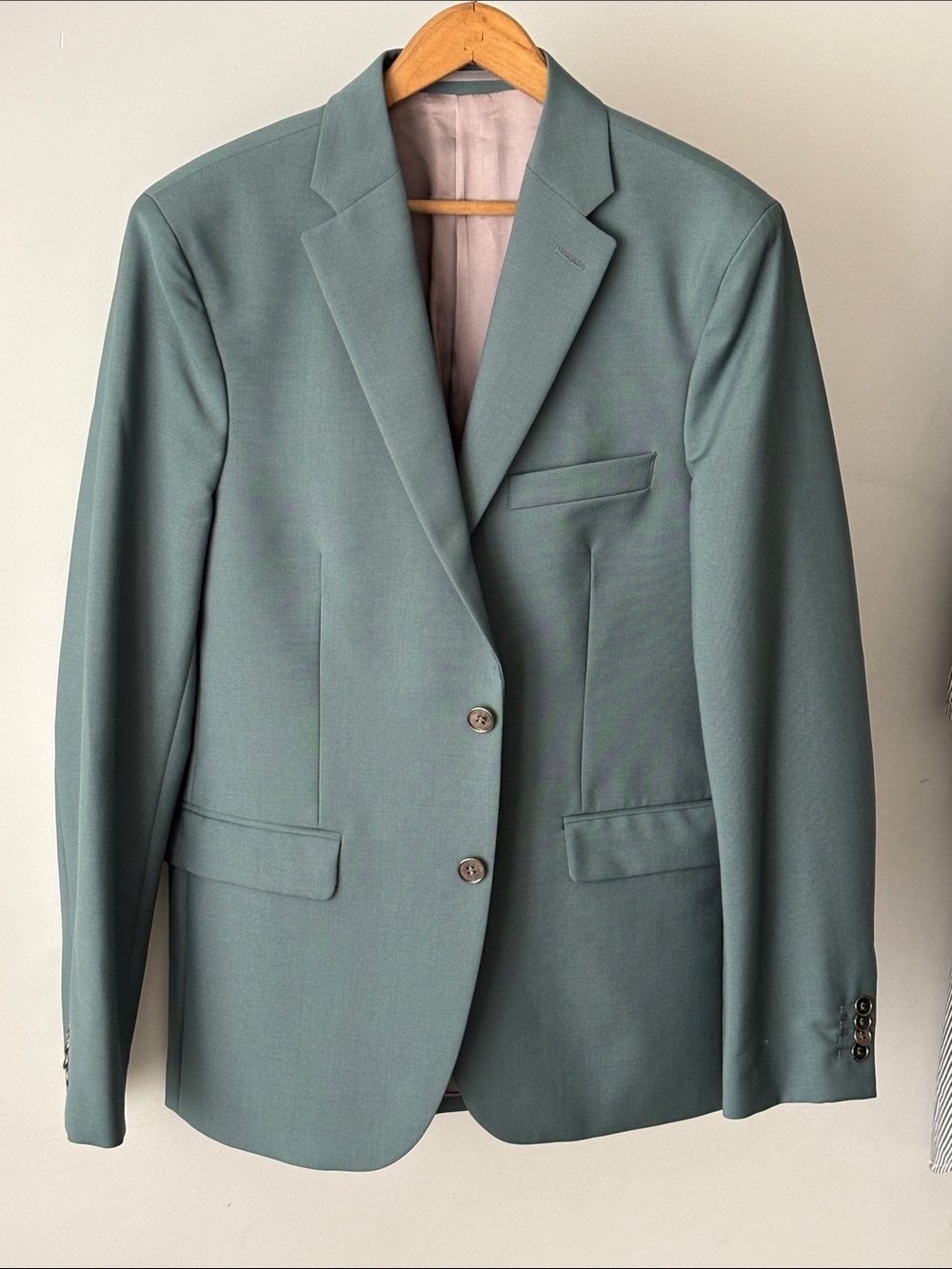 Acne Studios Drifter Teal / Sage Green Mohair Wool Blazer Size 50